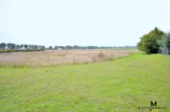 KMO-GS-1551 - zdjęcie nr 2