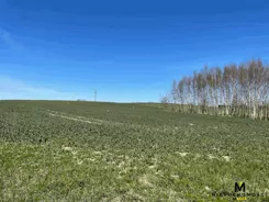 KMO-GS-1664 - zdjęcie nr 1