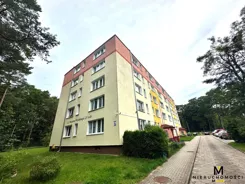KMO-MS-2397 - zdjęcie nr 0