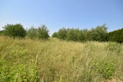 1066/17584/OGS - zdjęcie nr 3