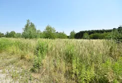 1067/17584/OGS - zdjęcie nr 3