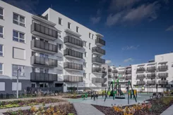 Zielona Przystań - zdjęcie nr 1