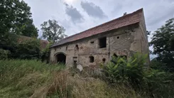 42596 - zdjęcie nr 3