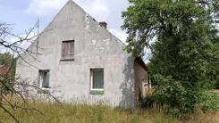 35917 - zdjęcie nr 3