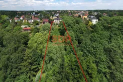 44913 - zdjęcie nr 1