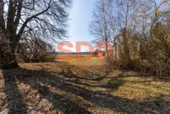 44000 - zdjęcie nr 1
