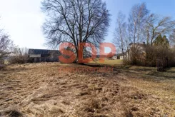 44000 - zdjęcie nr 2