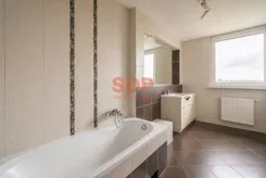 44955 - zdjęcie nr 3