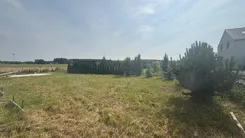 42587 - zdjęcie nr 3