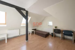 45981 - zdjęcie nr 1