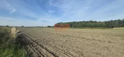 45859 - zdjęcie nr 4