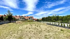 24514 - zdjęcie nr 3