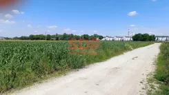 44996 - zdjęcie nr 3