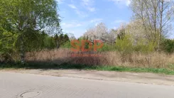 44411 - zdjęcie nr 4