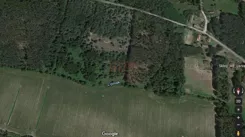 24249 - zdjęcie nr 1