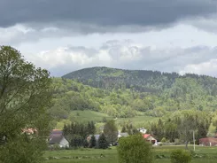 42664 - zdjęcie nr 2
