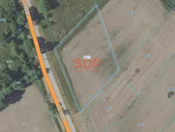 44952 - zdjęcie nr 3