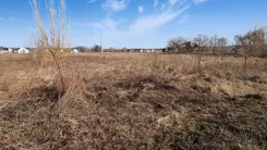 43727 - zdjęcie nr 4