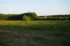 24513 - zdjęcie nr 3