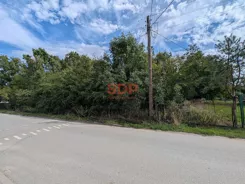45696 - zdjęcie nr 0