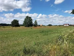 33821 - zdjęcie nr 2