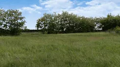 41632 - zdjęcie nr 1