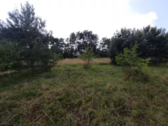 31558 - zdjęcie nr 0