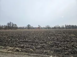 38448 - zdjęcie nr 2