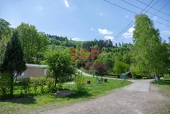 44653 - zdjęcie nr 2