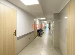 42866 - zdjęcie nr 2