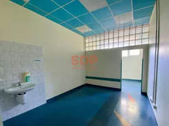 42870 - zdjęcie nr 3