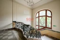 45366 - zdjęcie nr 1