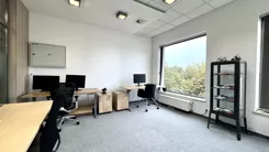 42795 - zdjęcie nr 4