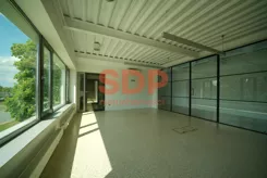 44746 - zdjęcie nr 2