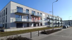45618 - zdjęcie nr 3