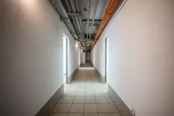 42547 - zdjęcie nr 3