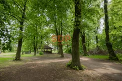 44364 - zdjęcie nr 2