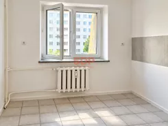 45995 - zdjęcie nr 1