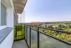 45369 - zdjęcie nr 3