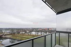 43439 - zdjęcie nr 4