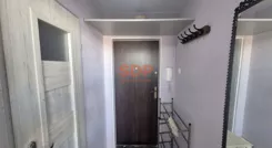 45931 - zdjęcie nr 4