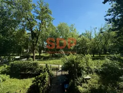 44980 - zdjęcie nr 4