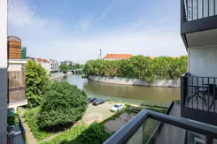 45251 - zdjęcie nr 3