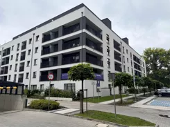 36489 - zdjęcie nr 3