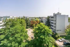 45319 - zdjęcie nr 4