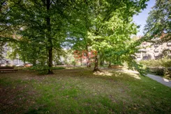 45528 - zdjęcie nr 2