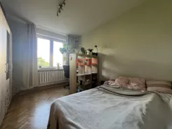 45619 - zdjęcie nr 3