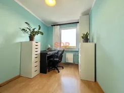45581 - zdjęcie nr 2