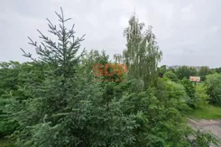 44855 - zdjęcie nr 2