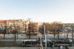 43557 - zdjęcie nr 2